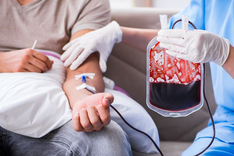 Kepada Siapakan Hasil Transfusi Darah Diserahkan